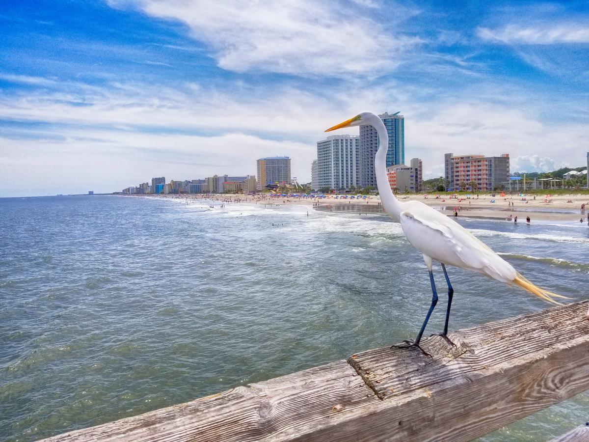 New Amazing Corneramazing Views Honeymoon Suite! Myrtle Beach Exterior photo